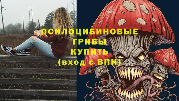 MDMA Premium VHQ Аркадак