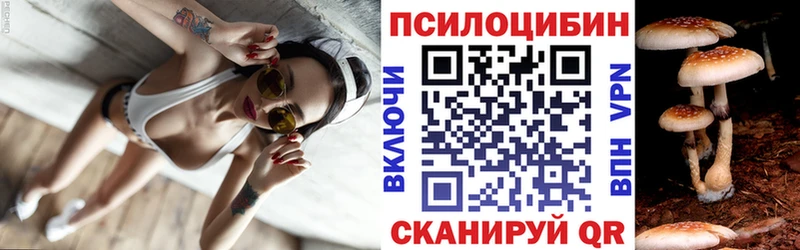 наркота  Тюкалинск  ОМГ ОМГ зеркало  площадка какой сайт  Галлюциногенные грибы мицелий 